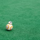 동행시티행정사사무소 이미지