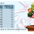 (주)무풍지대