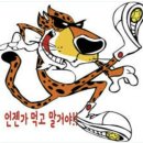 고삐 이미지
