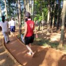 솔밭체육공원 이미지