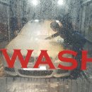 제틀리시(zartlich) 이미지