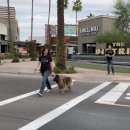 서초중앙로8길 89-2 이미지