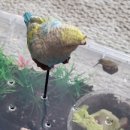 명주농장 이미지