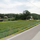 양사면-3 이미지