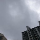 탑존자동차외형복원