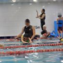 대한키즈 스윔스쿨 동대문 캠퍼스 | 초등 수영 학원 [대한 키즈 스윔 스쿨 동대문 캠퍼스]