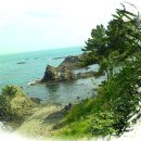 성당새마을금고앞 이미지