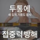 플러스미 Daum카페