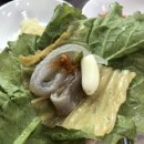 강동참가자미 이미지