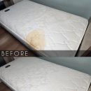 동부산약품㈜ | [공지] 매트리스 청소, 소파 청소란? 『비치움 동김해점 홈케어』