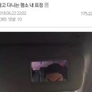 공미가 이미지