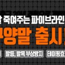 오금다진풋살