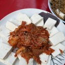 을지로 야장 추천 대성식품 솔직후기｜을지로4가역 맛집 야장맛집