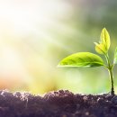 케이탑 짐 이미지