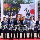 영광승마장 이미지