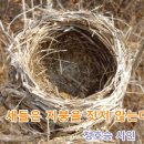 새들채 이미지