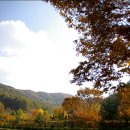 금광농원 이미지