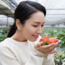 월롱농장 이미지