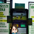 주식회사 제주테마투어