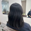 울산 중구 성남동 미용실 헤어비 단발c컬 마음에 들어!