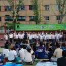아마빌레 이미지