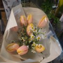 Flower늘봄 이미지