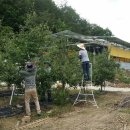 한전 봉화지사 이미지