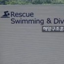 쏙엔 네이버블로그