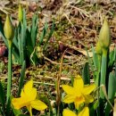 하누리마을 이미지