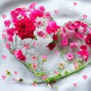 늘보들의 동행 정기연주회 이미지