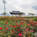 돌핀스 모텔 이미지