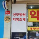 여의도대학약국 네이버블로그