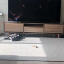 예쁘다 개 이미지