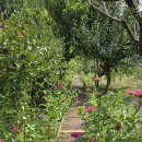 산뜨락힐링펜션 이미지