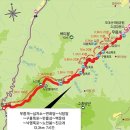 구룡약품 이미지