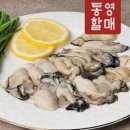 주식회사 덕이네 | 통영할매 굴 생굴 1kg 각굴 석화 통영 깐굴 생굴무침 장점 및 17% 할인 받는 방법