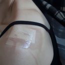 (주)프리투어 이미지