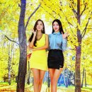 C&D 미디어