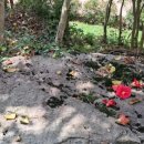 마음연구소민박 이미지