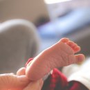 복합용도 건축물 이미지