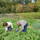 친환경나눔텃밭 이미지