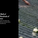 추모의 벽 이미지