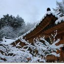 참숯민박 이미지