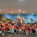 SK스탈릿백호태권도장 이미지