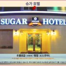 슈가짐 | 경주 슈가 호텔 후기: 가성비 좋은 경주 여행 호텔 추천