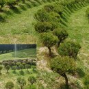 지수목장 이미지