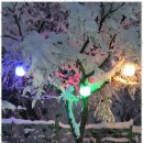 황토민박펜션 | 동해무릉별유천지펜션 반려견과 함께하는 완벽한 휴식, 동해황토민박펜션