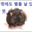볕들날 티스토리