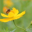 원주시농업기술센터 남부지소 이미지