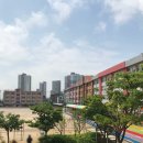 서정리초등학교병설유치원 이미지